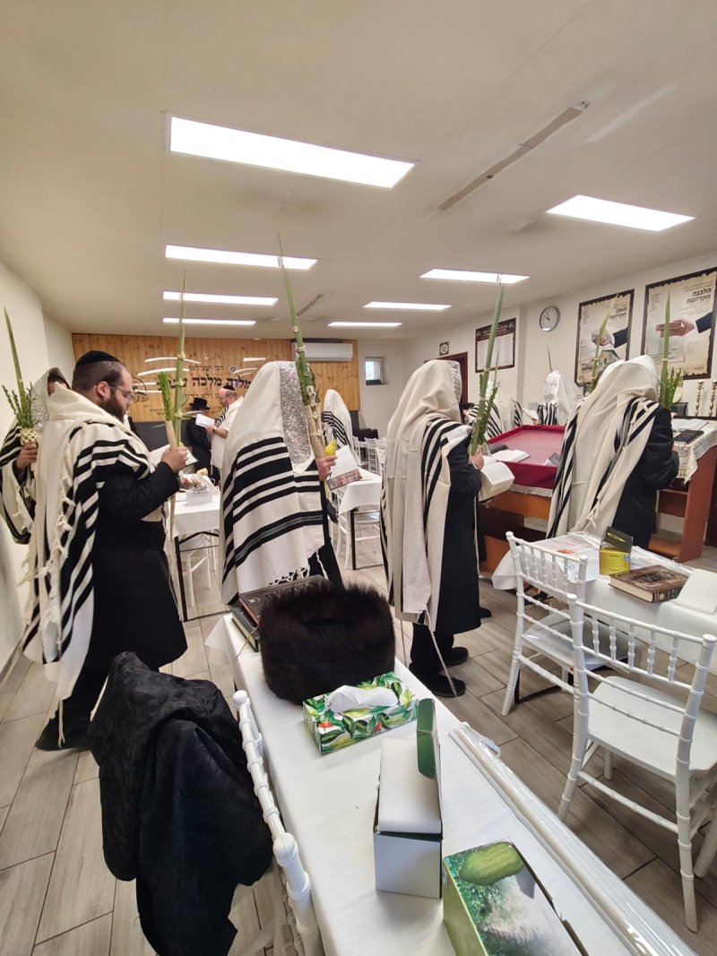 באדיבות המצלם