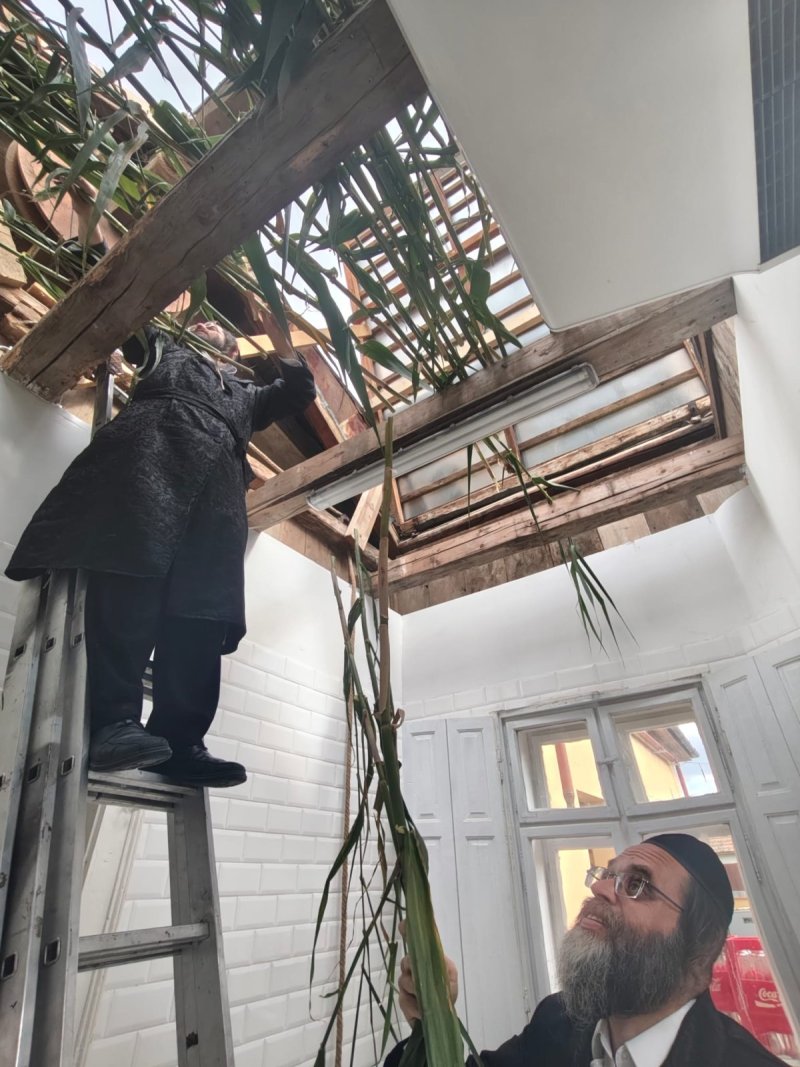 באדיבות המצלם