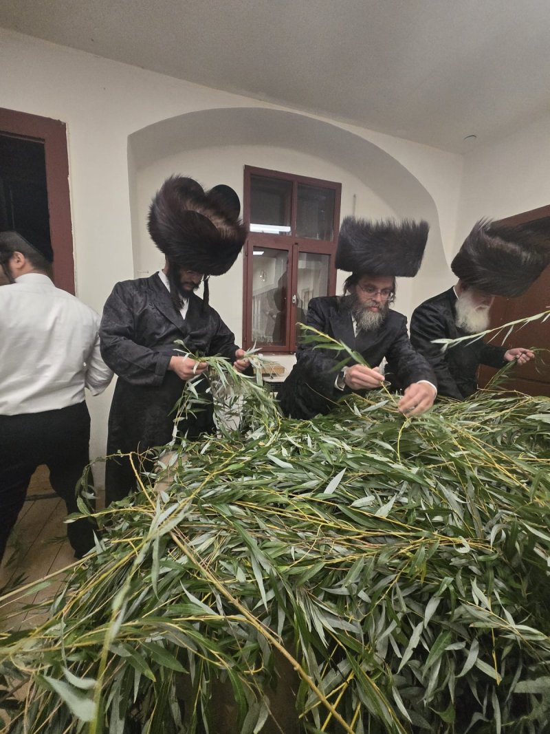 באדיבות המצלם