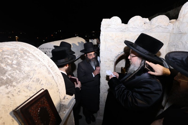 נתי אמרגי 