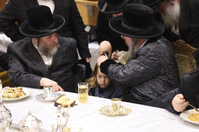 נתי אמרגי 