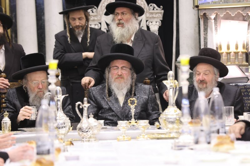 נתי אמרגי 