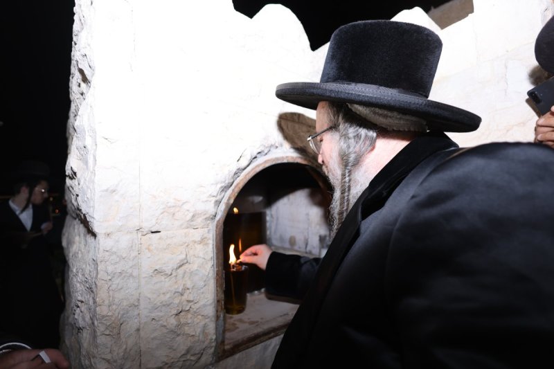 נתי אמרגי 