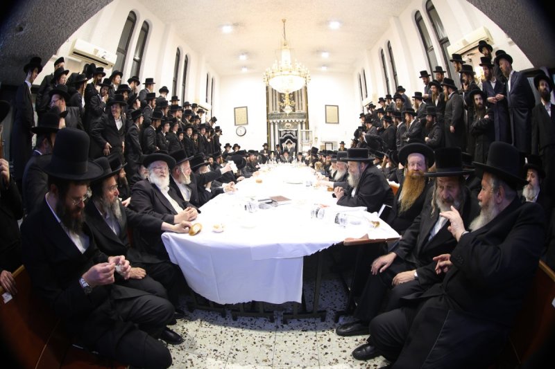 נתי אמרגי 