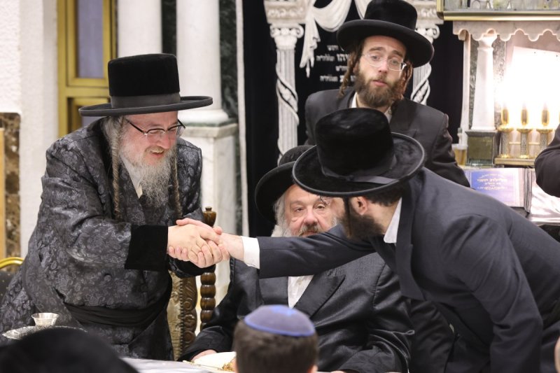 נתי אמרגי 