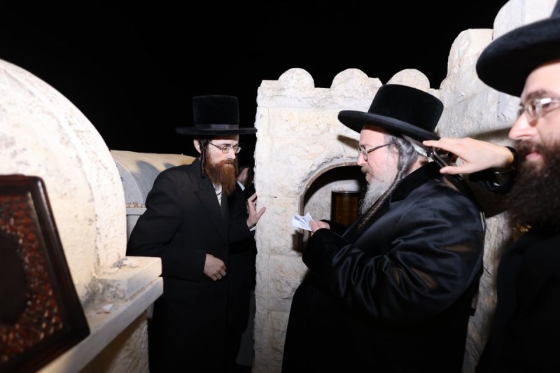 נתי אמרגי 