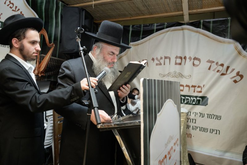 מנדי רוט