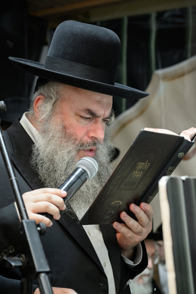 מנדי רוט