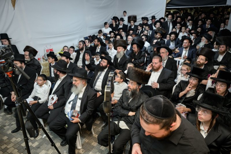 מנדי רוט