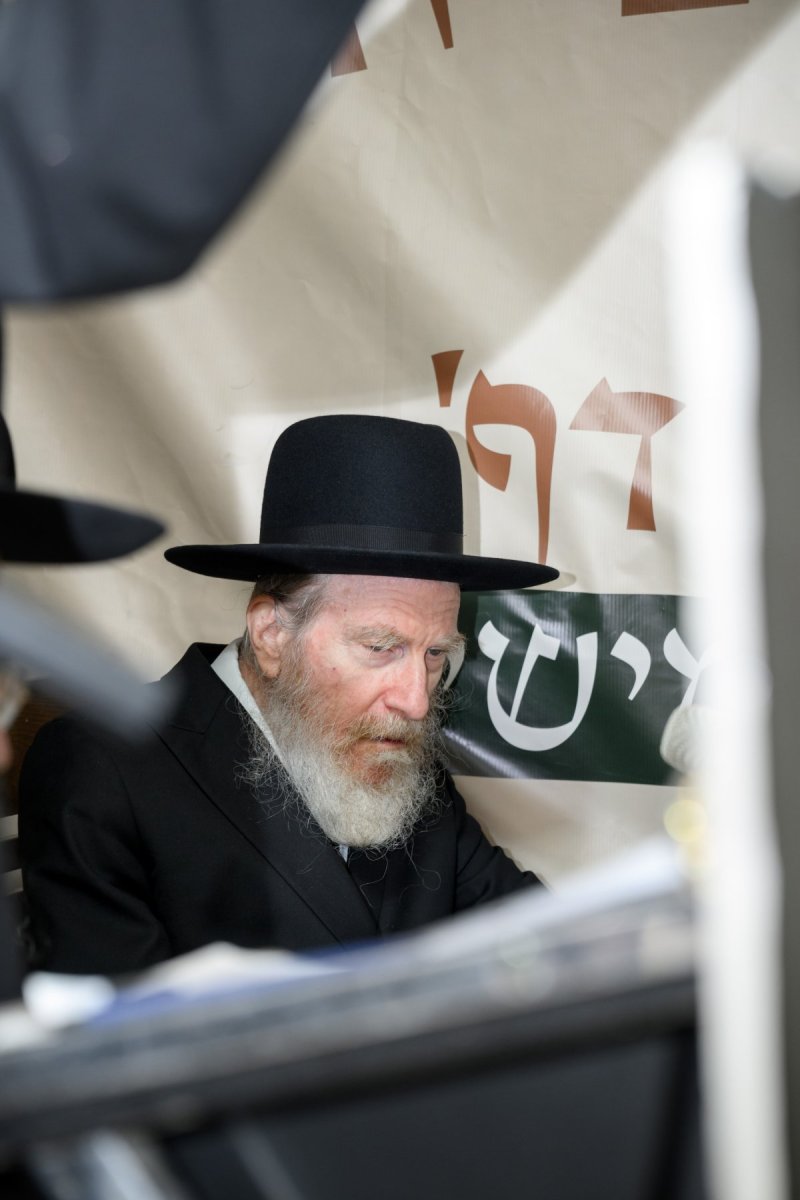 מנדי רוט