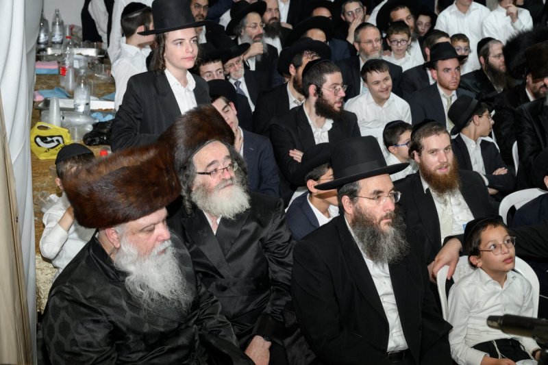 מנדי רוט