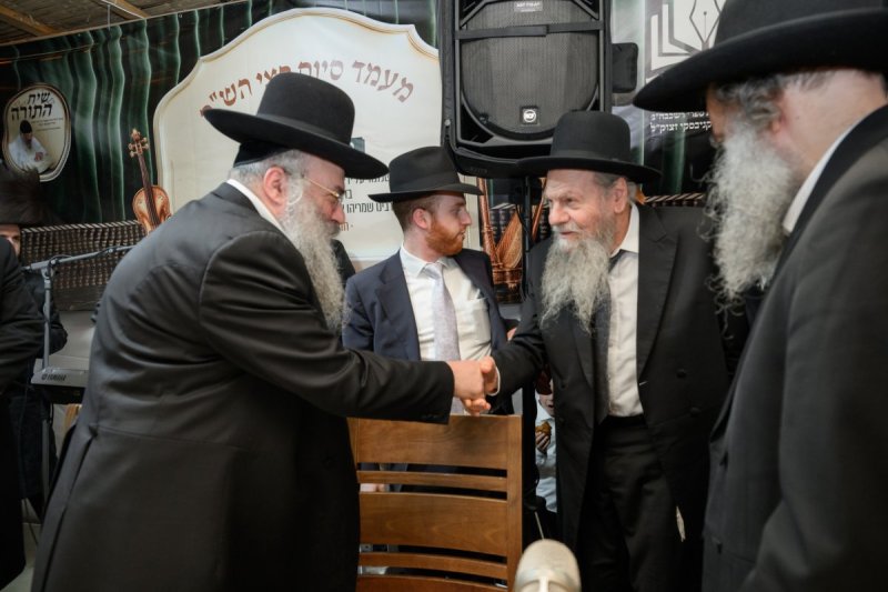 מנדי רוט