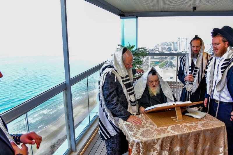 שוקי לרר