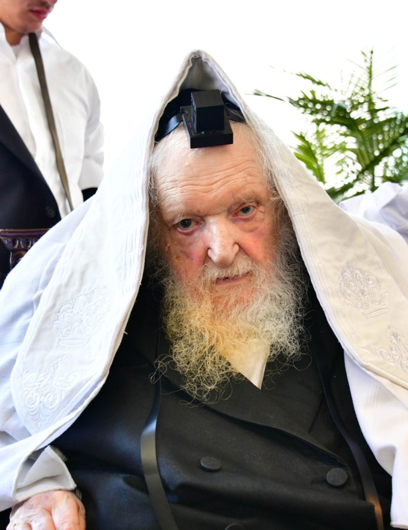 שוקי לרר