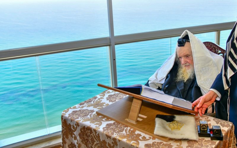 שוקי לרר