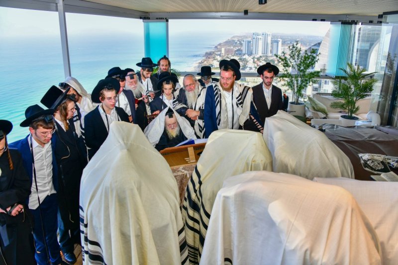שוקי לרר