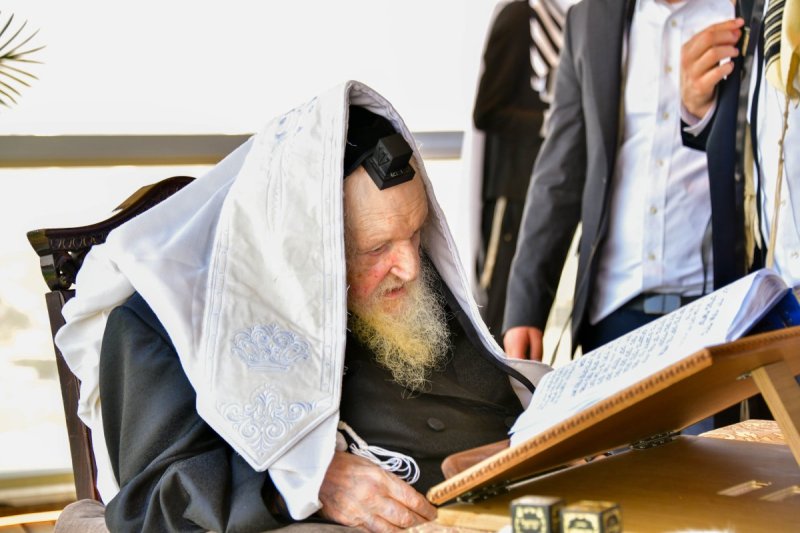 שוקי לרר