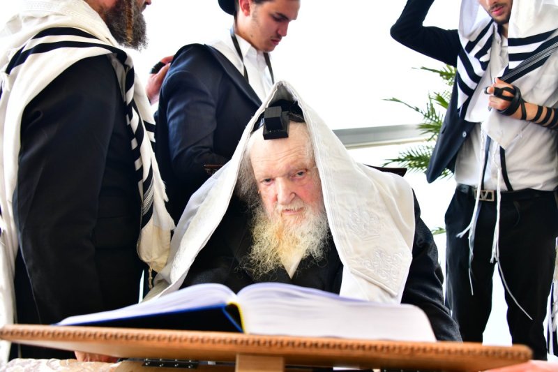 שוקי לרר