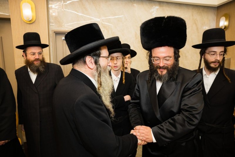 אלחנן קוטלר