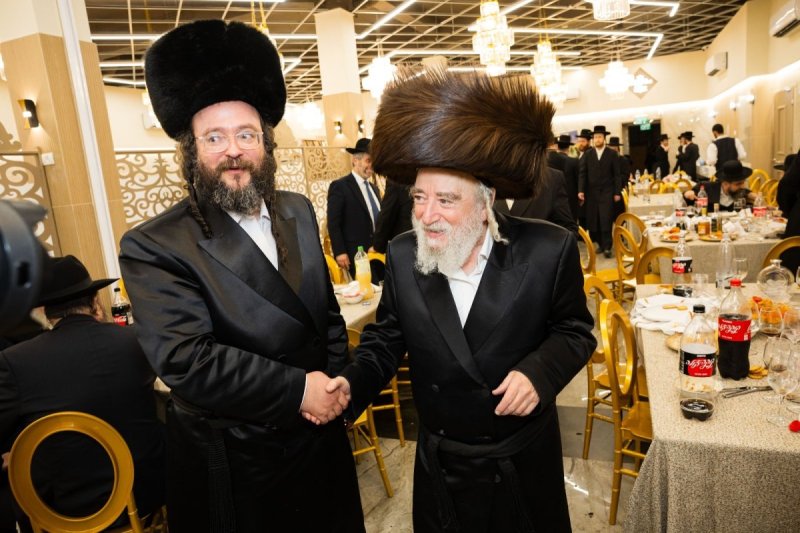 אלחנן קוטלר