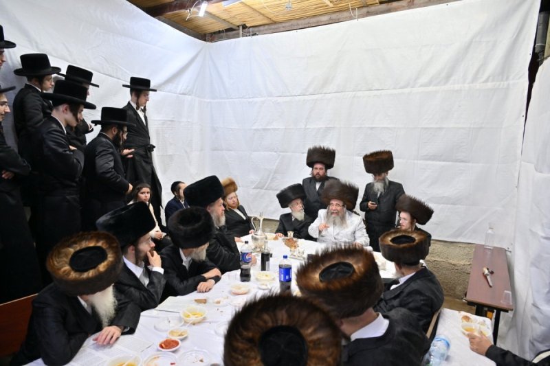 באדיבות המצלם