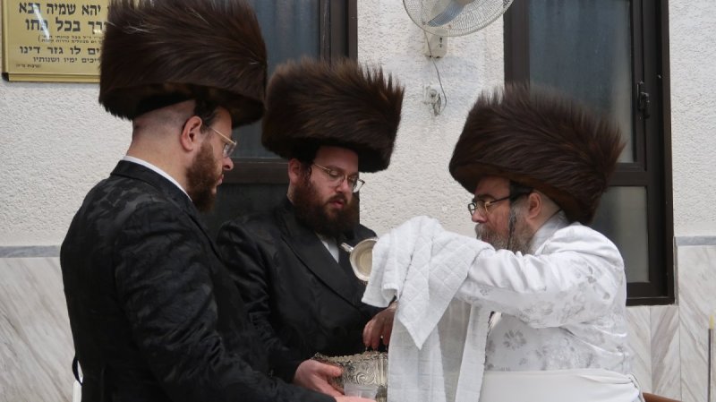 באדיבות המצלם