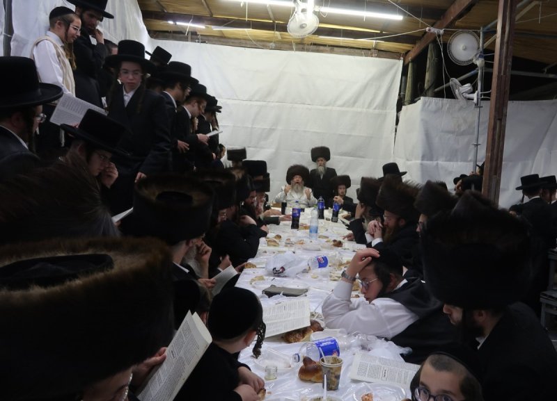 באדיבות המצלם