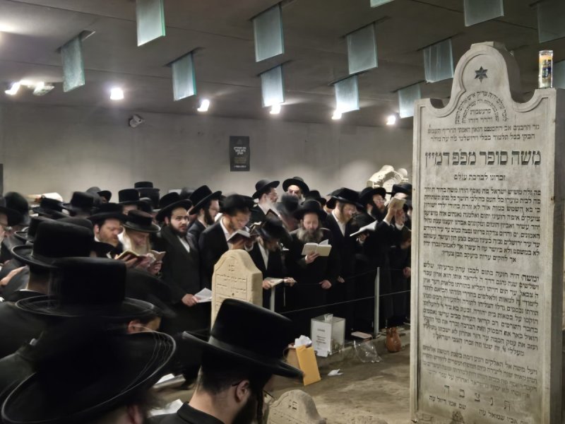 שוקי לרר