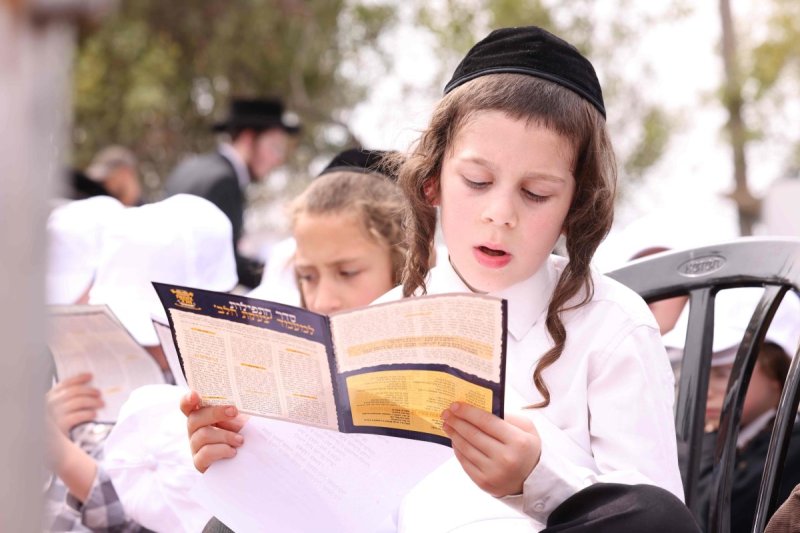 שמואל דריי