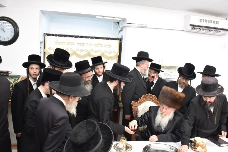 יהודה פרקוביץ