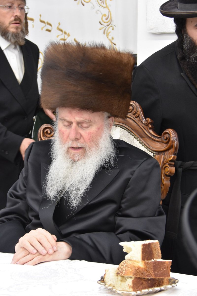 יהודה פרקוביץ