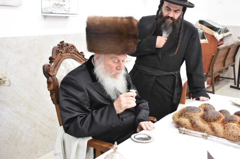 יהודה פרקוביץ