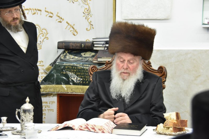 יהודה פרקוביץ
