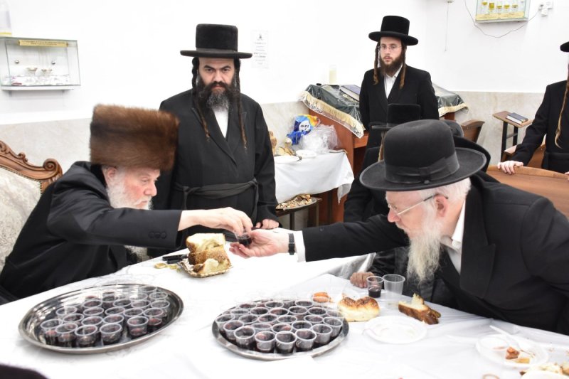 יהודה פרקוביץ