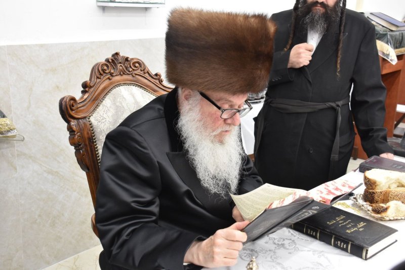 יהודה פרקוביץ