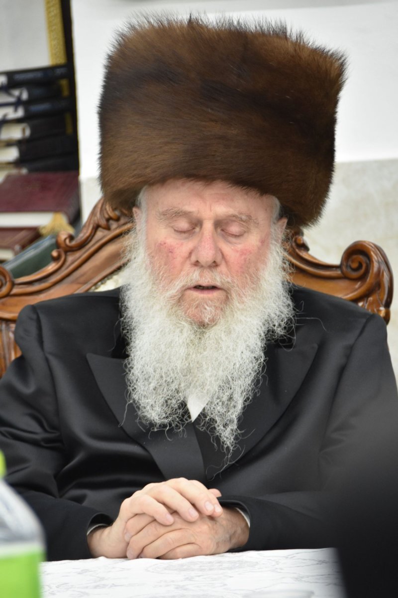 יהודה פרקוביץ