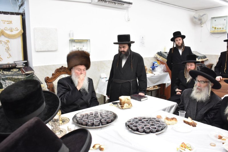 יהודה פרקוביץ