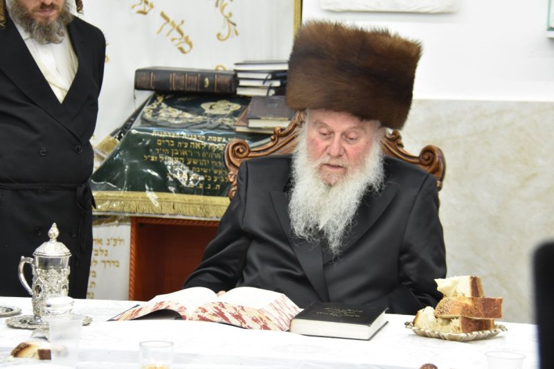יהודה פרקוביץ