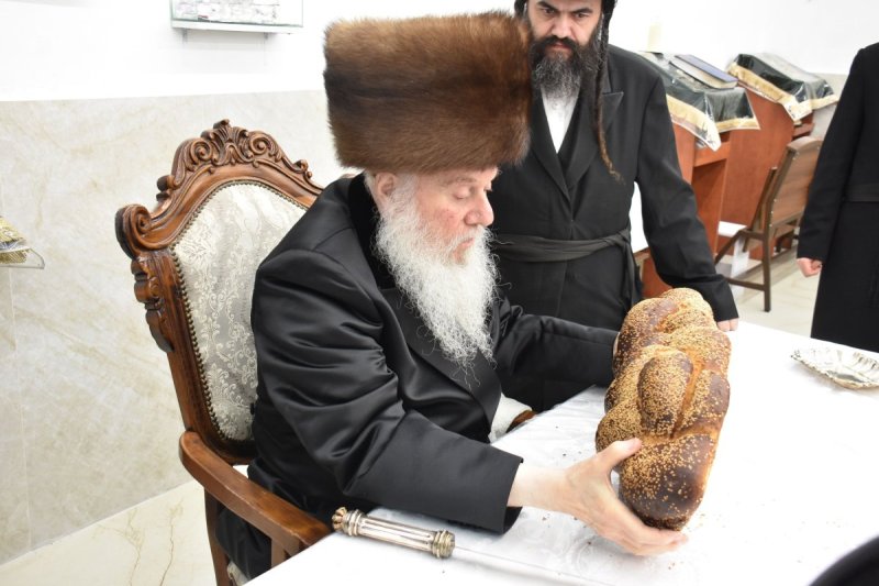 יהודה פרקוביץ