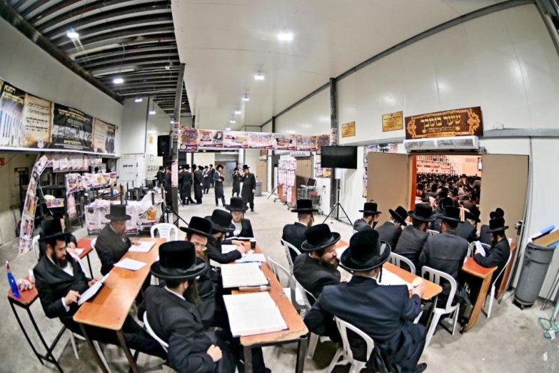 יהושע פרוכטר