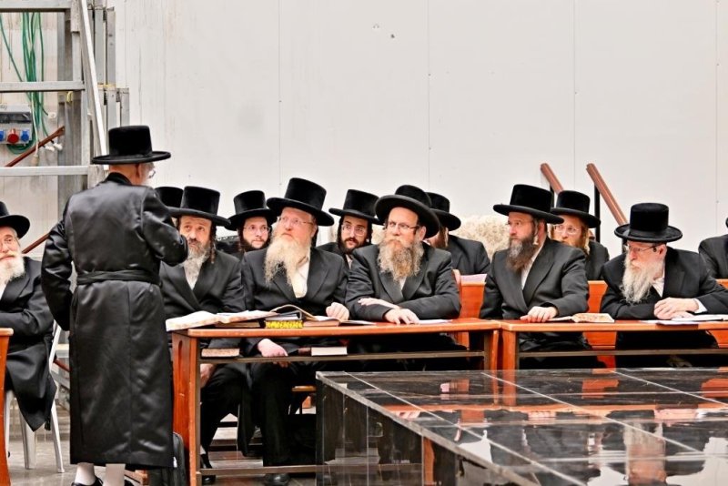 יהושע פרוכטר