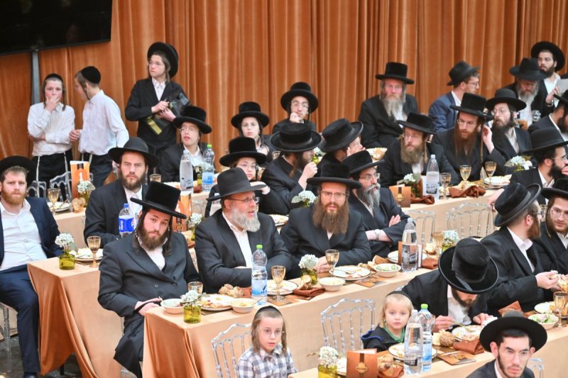 יהושע פרוכטר