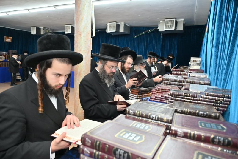 יהושע פרוכטר