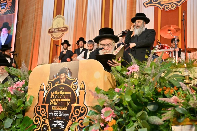 יהושע פרוכטר