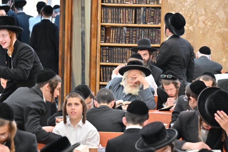 יהושע פרוכטר