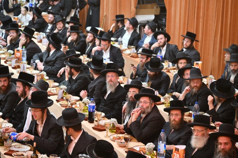 יהושע פרוכטר
