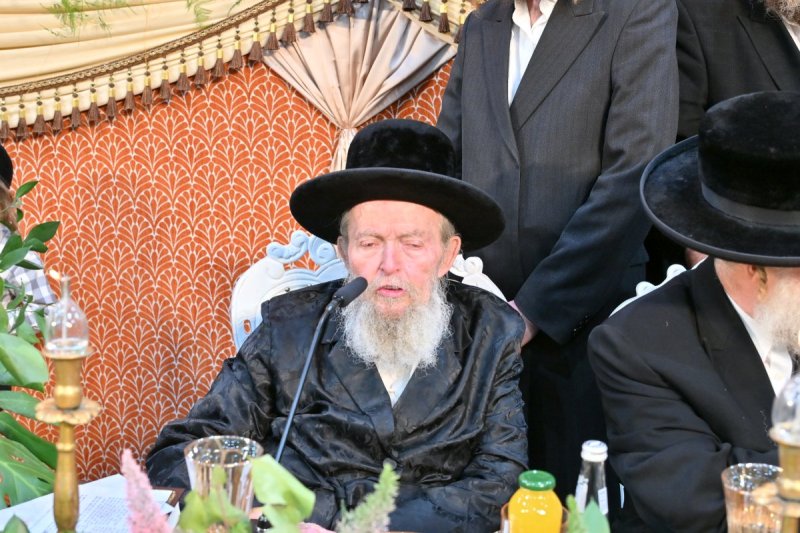 יהושע פרוכטר