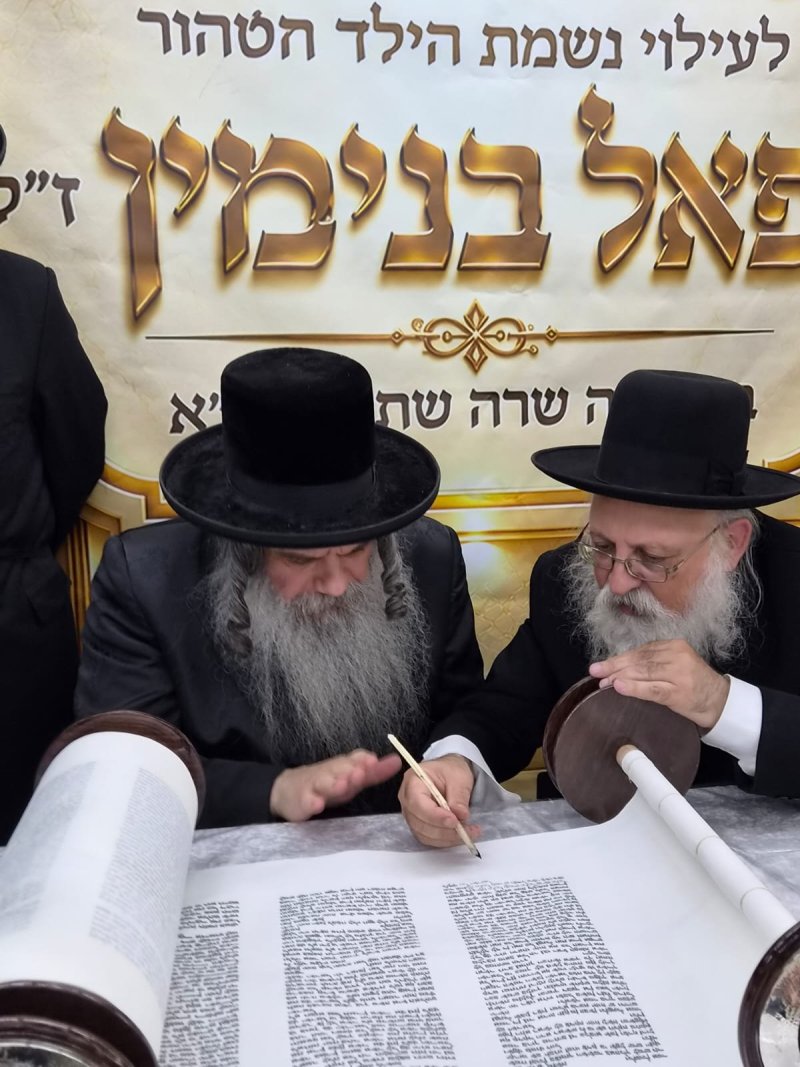 מאיר זלזניק, עזרא טרבלסי, ים לביא