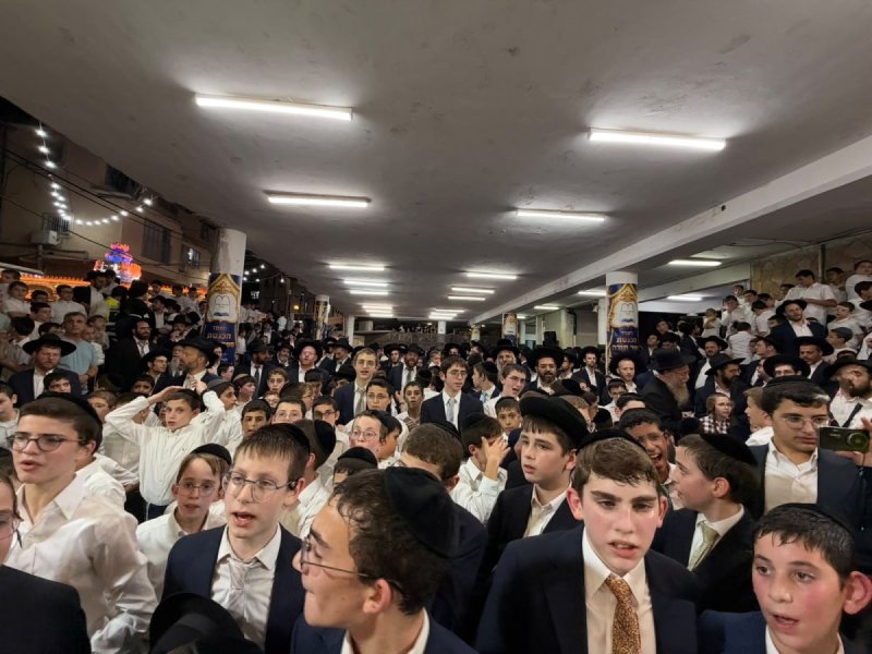 מאיר זלזניק, עזרא טרבלסי, ים לביא
