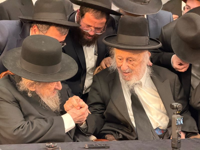 אבי ריין
